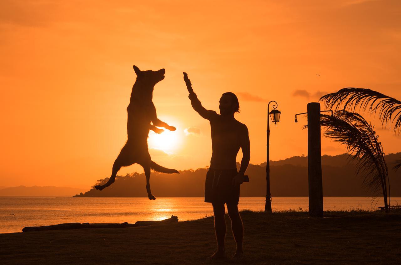 Beach Break Hotel & Surf Camp De プラヤ・ベナオ エクステリア 写真